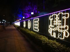 -枫花园汽车电影院(朝阳公园店)