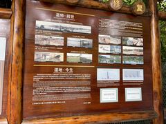 -华侨城湿地公园