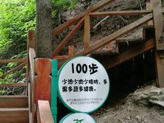 -大岭沟猕猴桃谷风景区