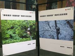 -西安电影制片厂