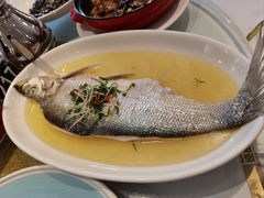 清蒸白水鱼-老人和饭店(淮海中路店)