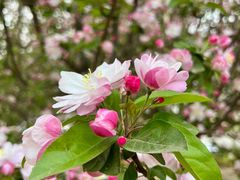 -元大都城垣遗址公园