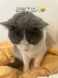 -ChuLian初莲日式美甲美睫