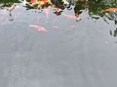 -香麒园·过桥米线·南湖雅宴