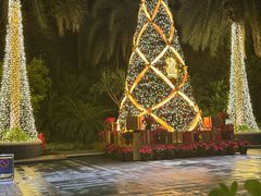 -广州富力丽思卡尔顿酒店