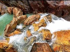 -广州白江湖森林公园