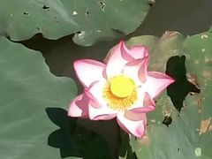 -韩湘水博园