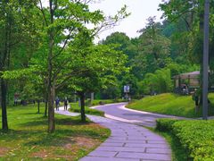 -阿哈湖国家湿地公园
