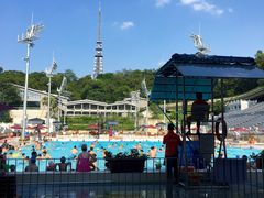 泳池-越秀山游泳场