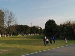 -九里河湿地公园