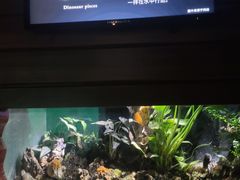 -太平洋海底世界