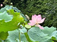 -成都杜甫草堂博物馆