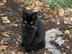 -嘿嘛仓储购(华明店)