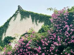 -老门东历史文化街区