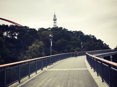 -金鸡山公园