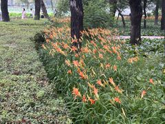 -长春市南湖公园