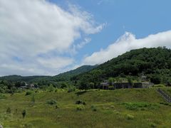 -(株)越後屋デパート