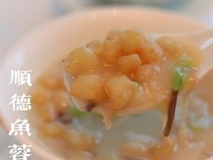 顺德鱼蓉羹-东海朗廷酒店-唐阁T’ANG COURT 中餐厅