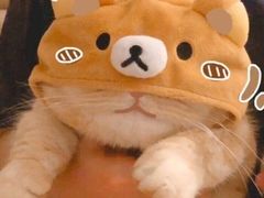 -一家人(凯旋路店)