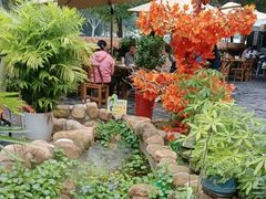 -后湖小院·乡野田园菜