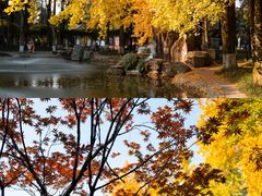 -温江公园