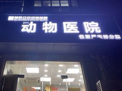 -美联众合动物医院(·中兽医·疑难杂症·严家桥分院)