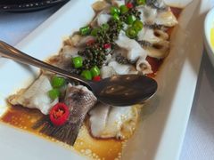 -金粤九号(李公堤店)