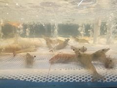 -AEON超市(永旺梦乐城泰达店)