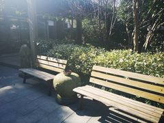 -旅马餐厅(茅家埠店)