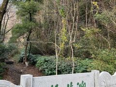 -杭州半山国家森林公园