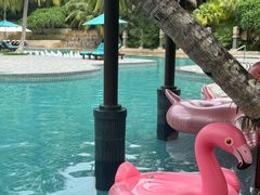 -海南清水湾莱佛士酒店