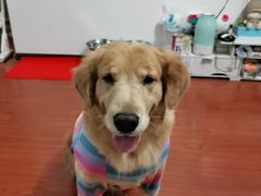 -美联众合24小时·皮肤科·外科·全科诊疗中心(华苑分院)
