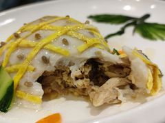 -丁老爷子苏香圆