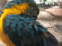 -福州罗源湾海洋世界旅游区