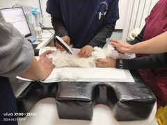 -中农大我爱我爱动物医院·核磁CT·猫病·24小时夜诊中心(石佛营店)