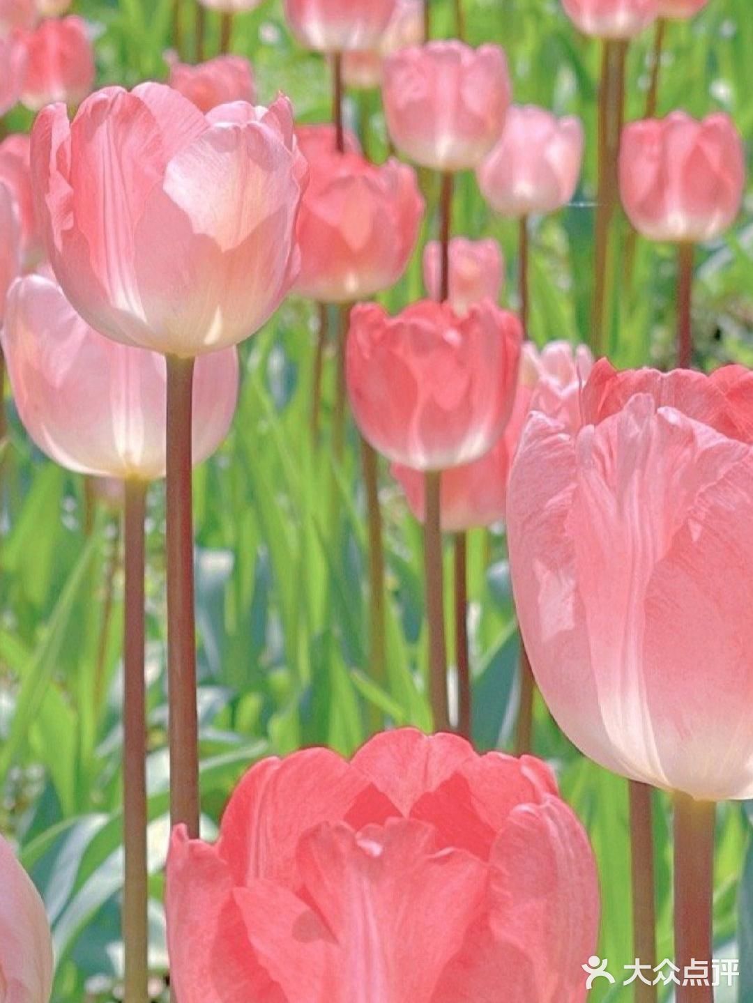 三亚什么景点值得去，千万别被坑了