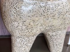 -哈尔滨圣安口腔专科医院