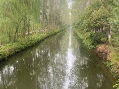 -合肥滨湖国家森林公园