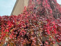 -辽宁大学(崇山校区)