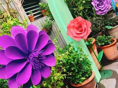 -The Grounds of Alexandria