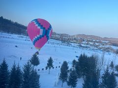 -果松木炭酸菜铜火锅·外婆参鸡汤