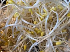 豆芽-陈眼镜火锅(总店)