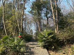 -南京老山国家森林公园