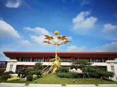 -药王庙(安国市)