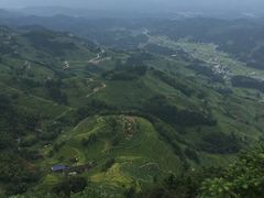 -紫鹊界梯田景区