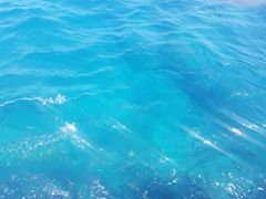 -亚龙湾海底世界