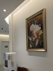 -天津伊美尔医疗整形美容专科医院