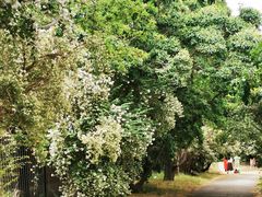 -国家植物园南园