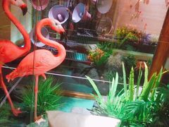 -星聚会KTV(景枫中心店)