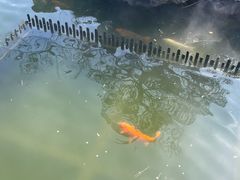 -檀园